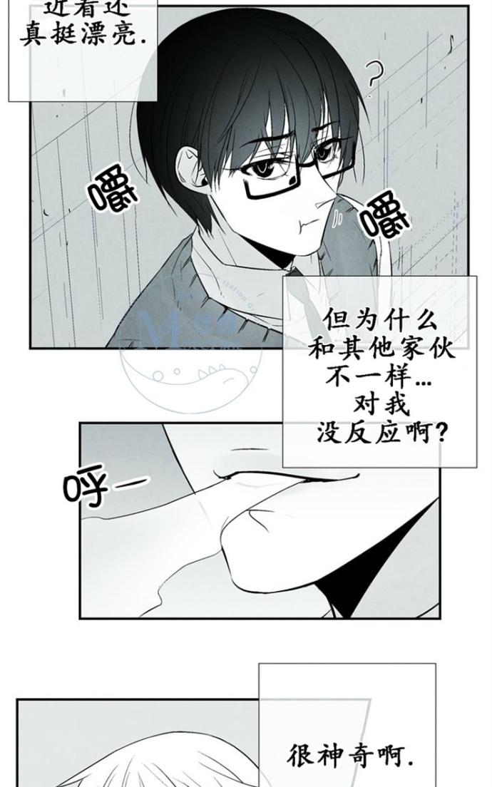 《蛇之舌》漫画最新章节 第7-8话 免费下拉式在线观看章节第【83】张图片