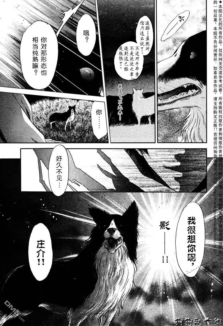 《八犬传-东方八犬异闻》漫画最新章节 第39话 免费下拉式在线观看章节第【11】张图片