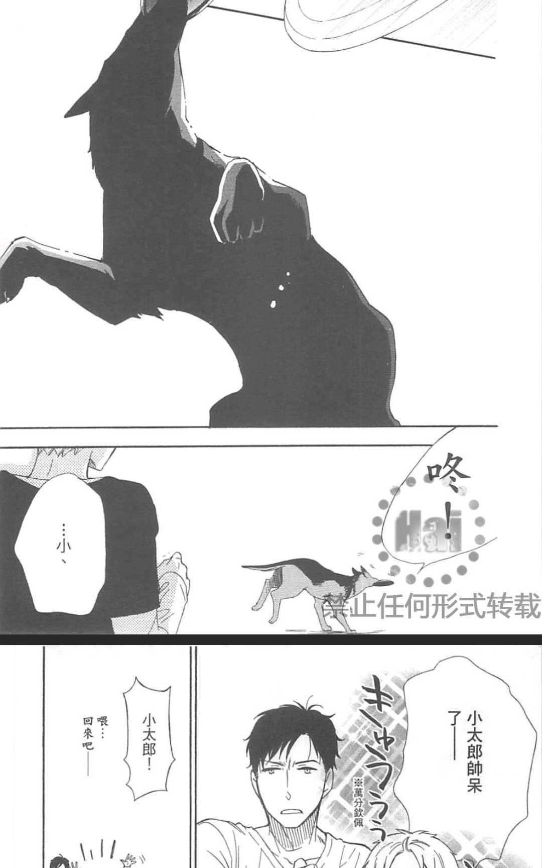【小柴与牧羊犬先生[耽美]】漫画-（ 第1话 ）章节漫画下拉式图片-51.jpg