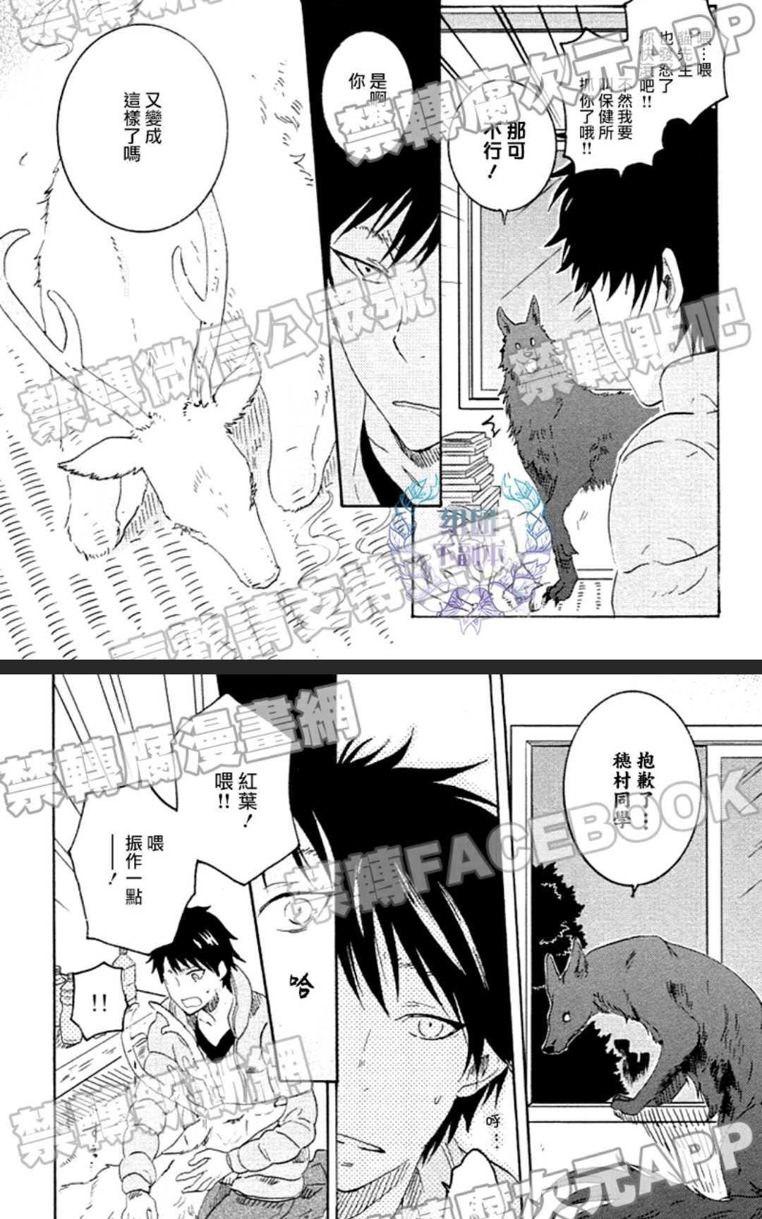 《白鹿小径》漫画最新章节 第5话 免费下拉式在线观看章节第【4】张图片