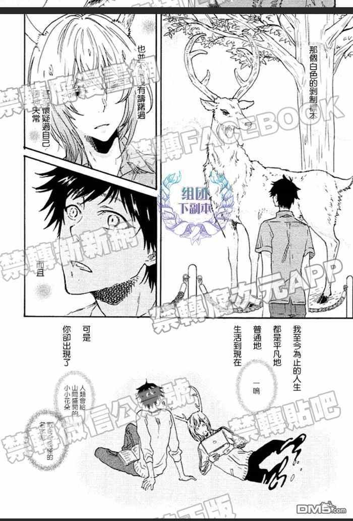 《白鹿小径》漫画最新章节 第4话 免费下拉式在线观看章节第【10】张图片