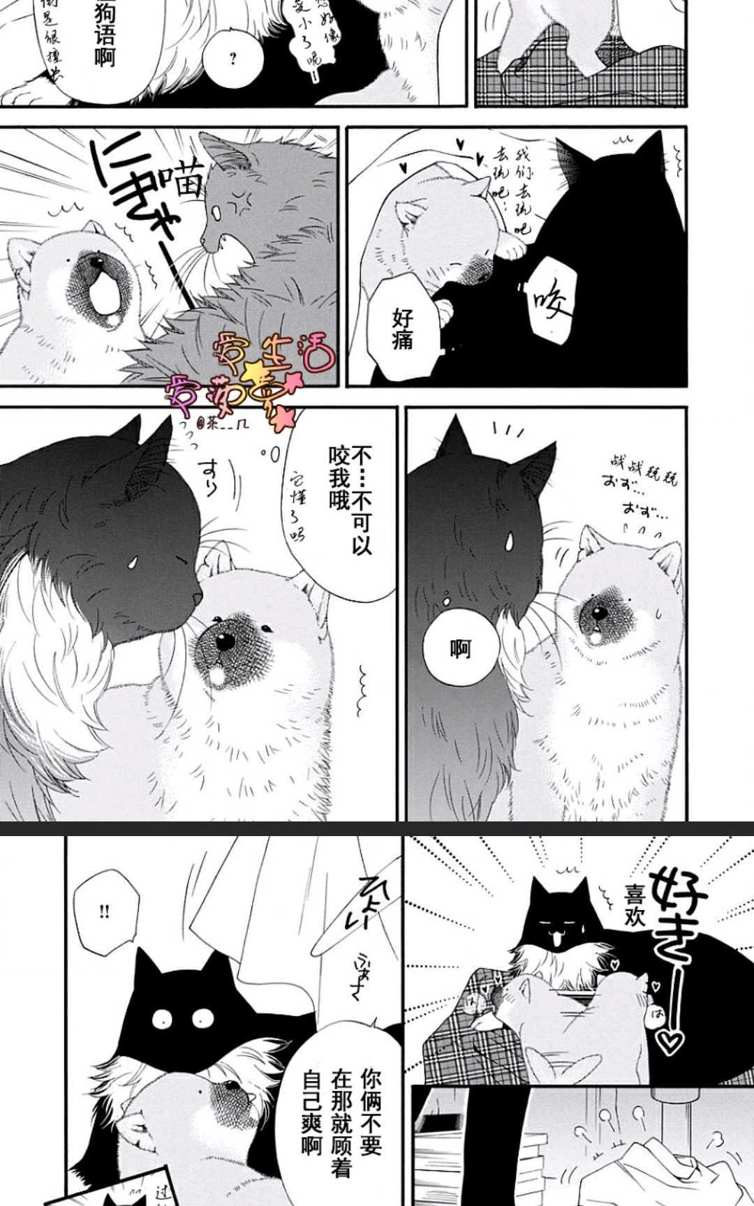 《猫咪猫咪亲爱的》漫画最新章节 第15话 免费下拉式在线观看章节第【2】张图片