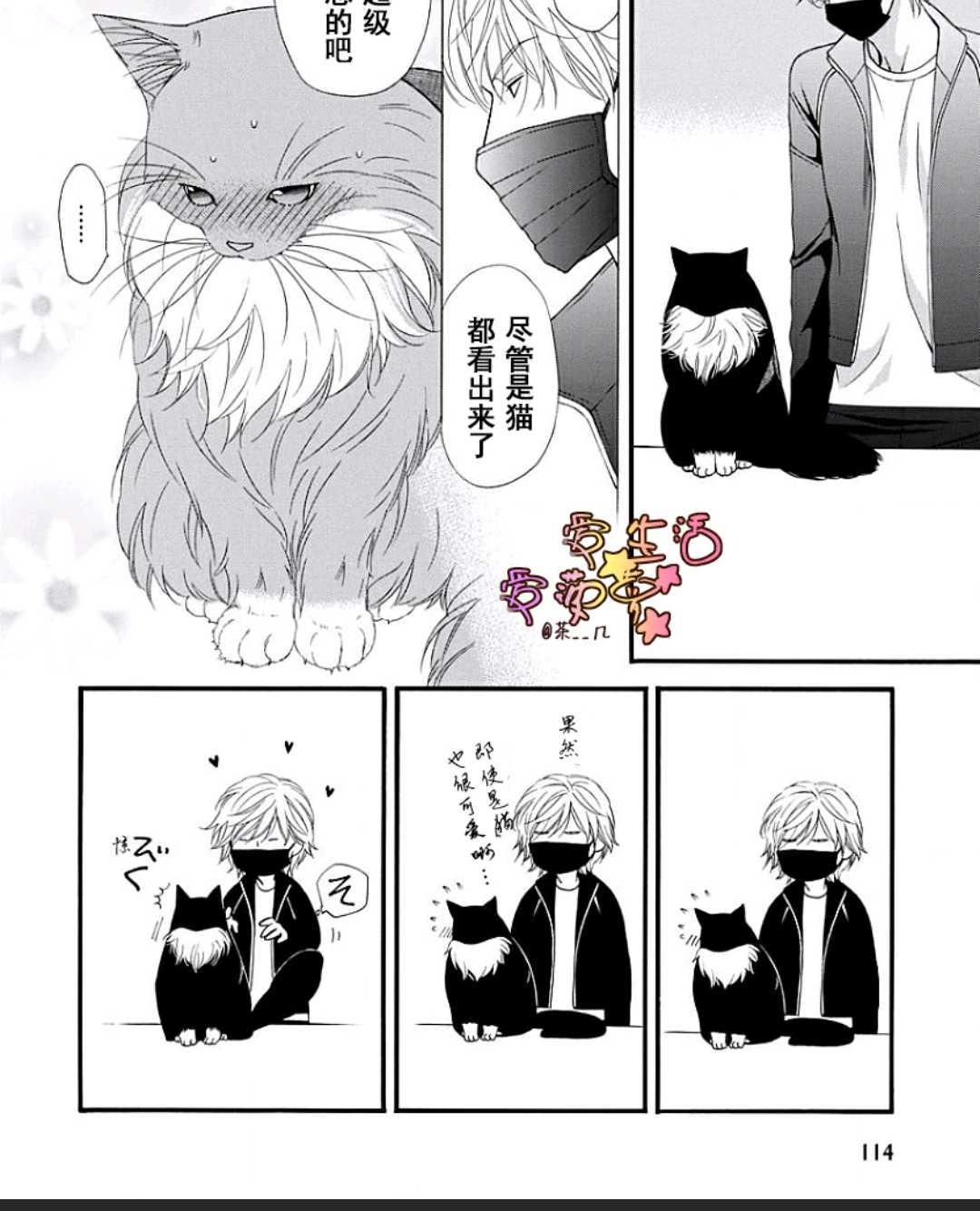 《猫咪猫咪亲爱的》漫画最新章节 第15话 免费下拉式在线观看章节第【10】张图片