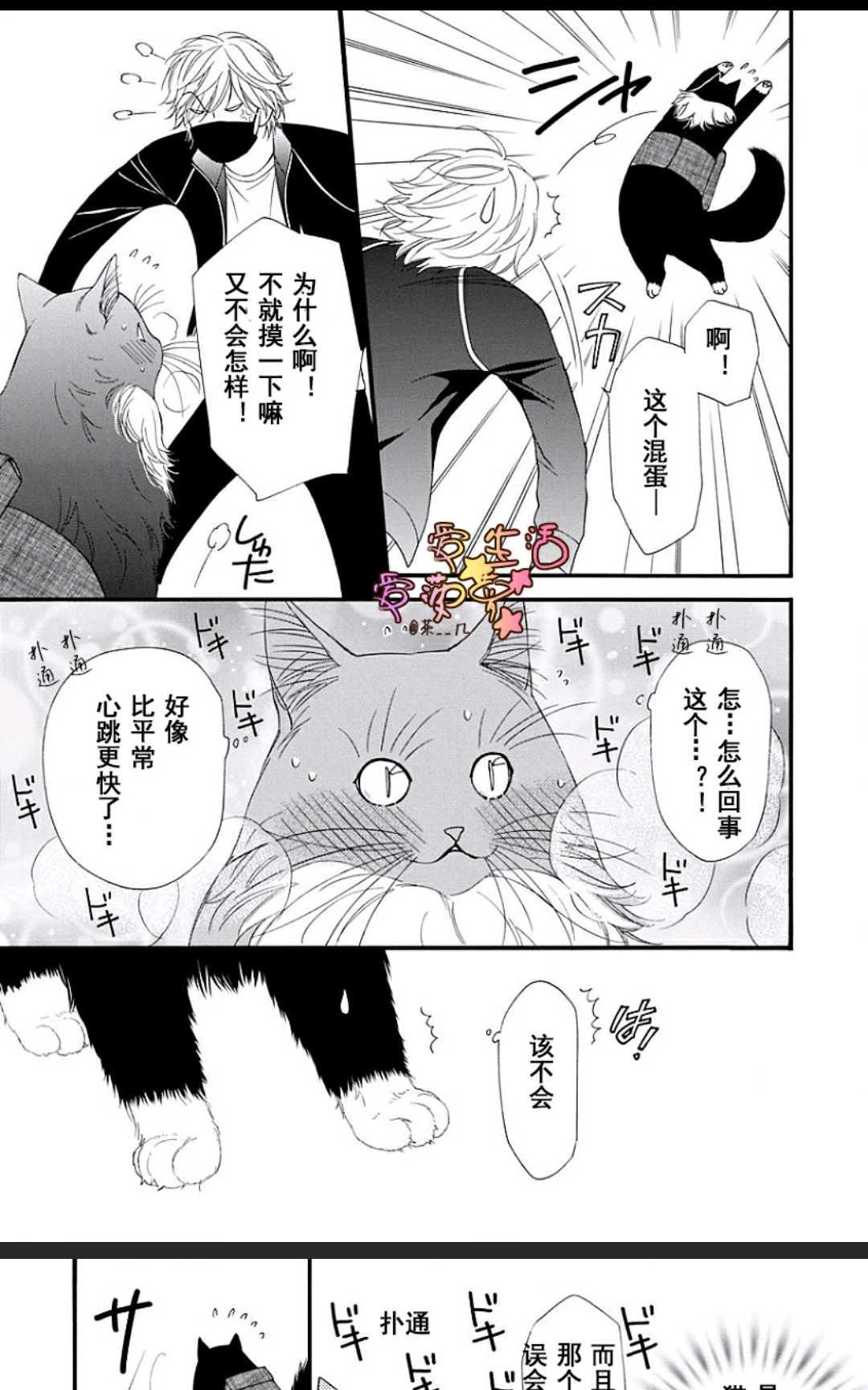 《猫咪猫咪亲爱的》漫画最新章节 第15话 免费下拉式在线观看章节第【11】张图片