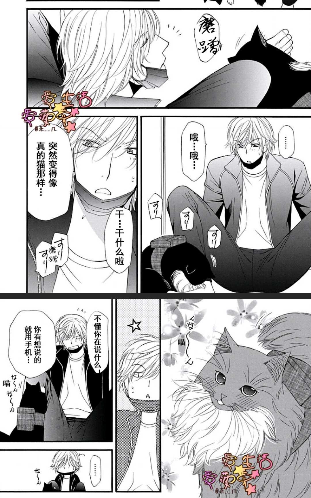 《猫咪猫咪亲爱的》漫画最新章节 第15话 免费下拉式在线观看章节第【14】张图片