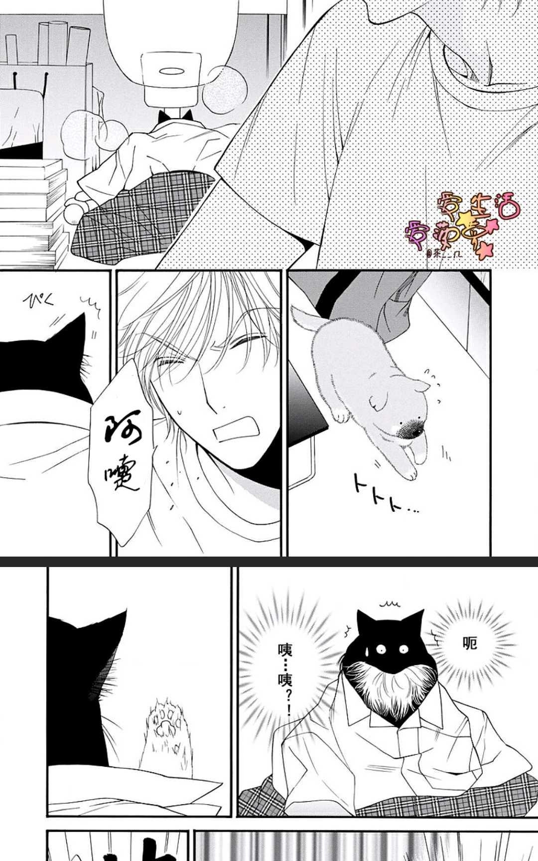 《猫咪猫咪亲爱的》漫画最新章节 第14话 免费下拉式在线观看章节第【24】张图片