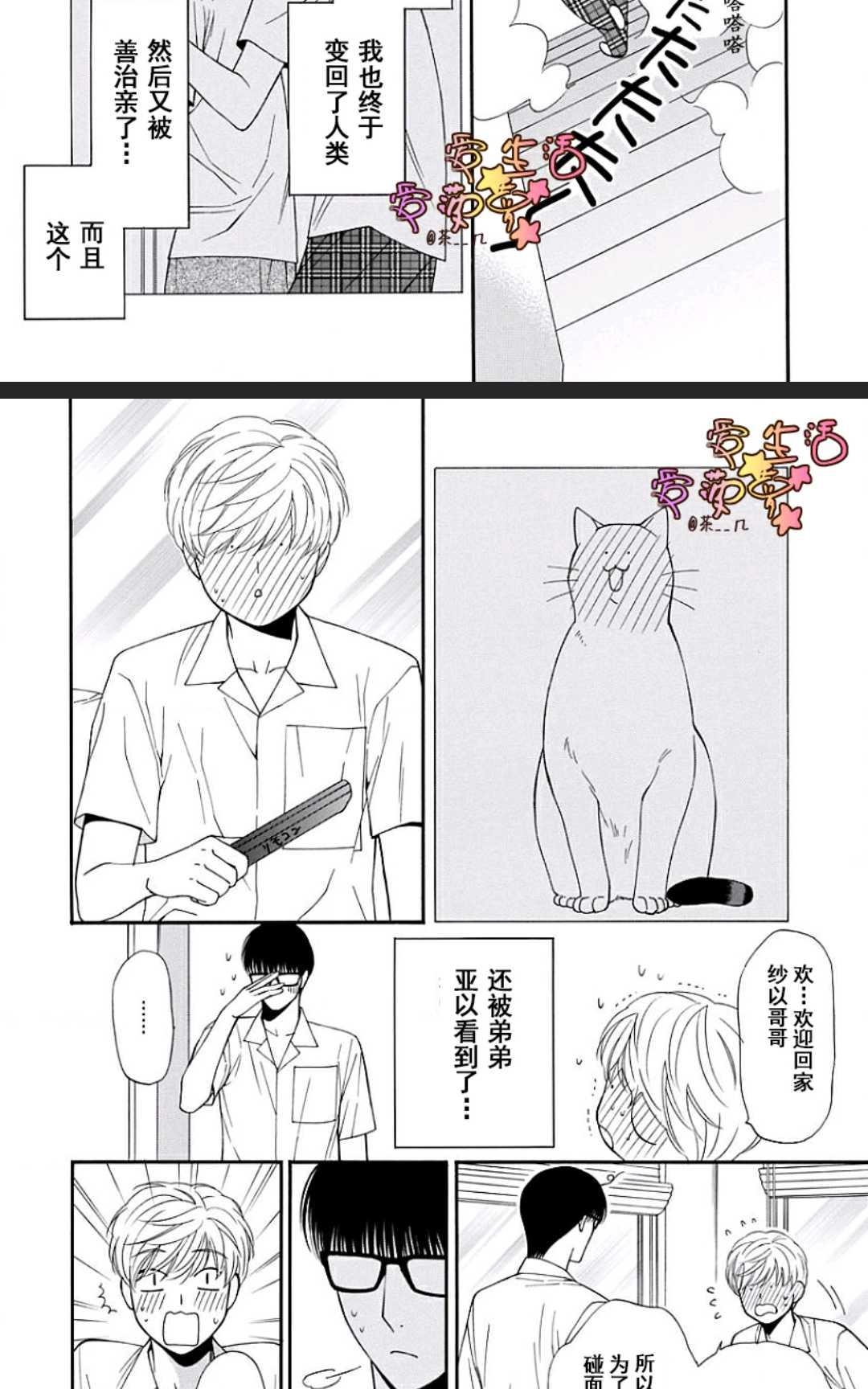 《猫咪猫咪亲爱的》漫画最新章节 第13话 免费下拉式在线观看章节第【6】张图片