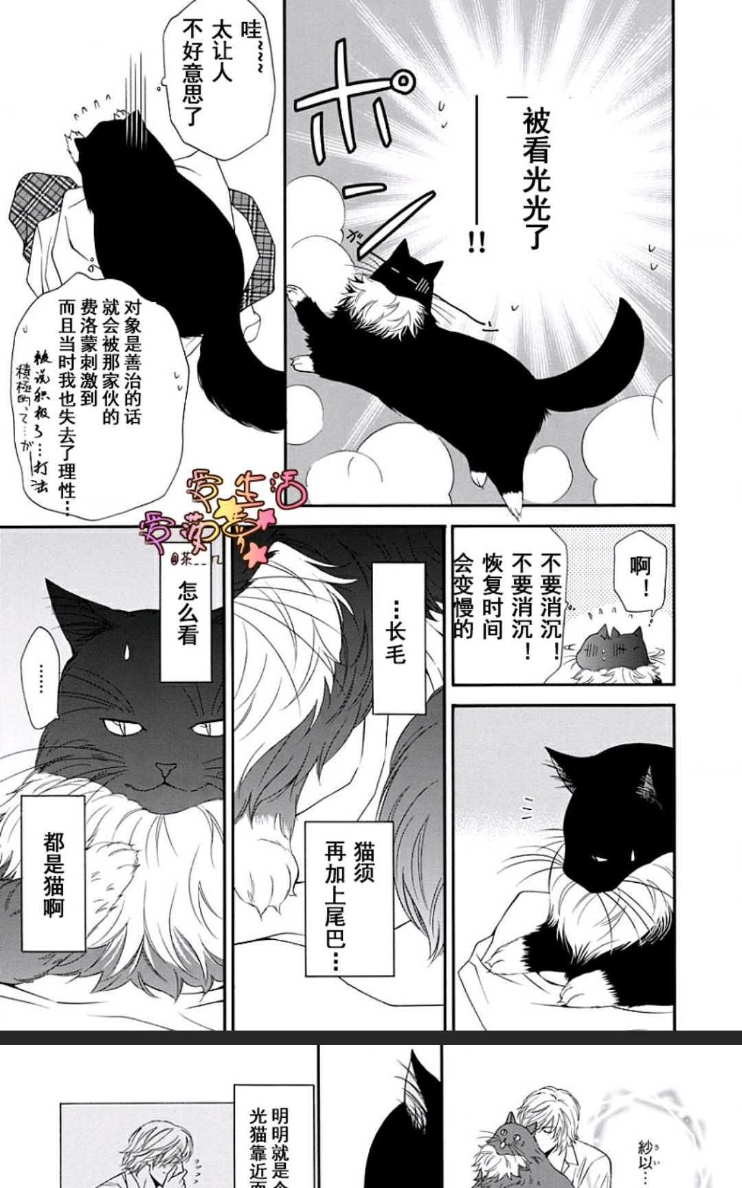 《猫咪猫咪亲爱的》漫画最新章节 第13话 免费下拉式在线观看章节第【9】张图片