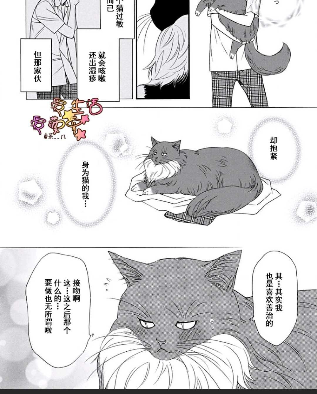 《猫咪猫咪亲爱的》漫画最新章节 第13话 免费下拉式在线观看章节第【10】张图片