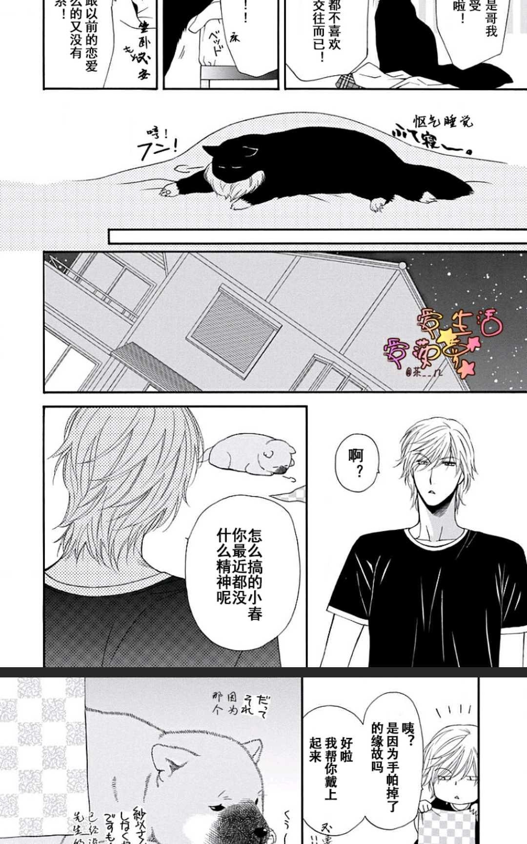 《猫咪猫咪亲爱的》漫画最新章节 第13话 免费下拉式在线观看章节第【12】张图片