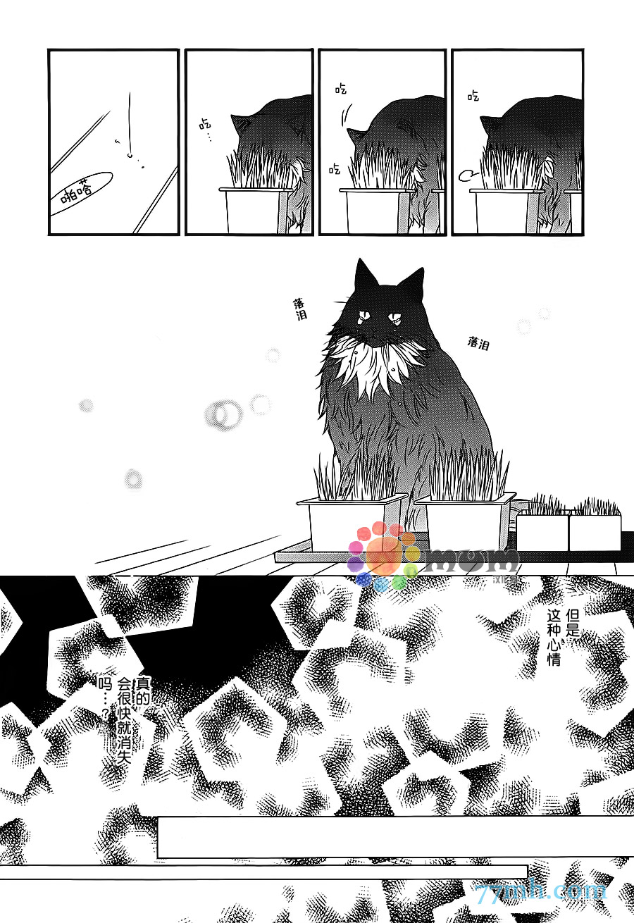 《猫咪猫咪亲爱的》漫画最新章节 第12话 免费下拉式在线观看章节第【9】张图片