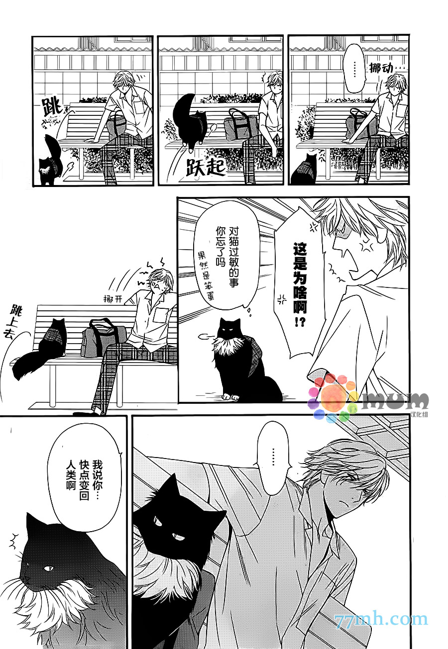 《猫咪猫咪亲爱的》漫画最新章节 第12话 免费下拉式在线观看章节第【12】张图片