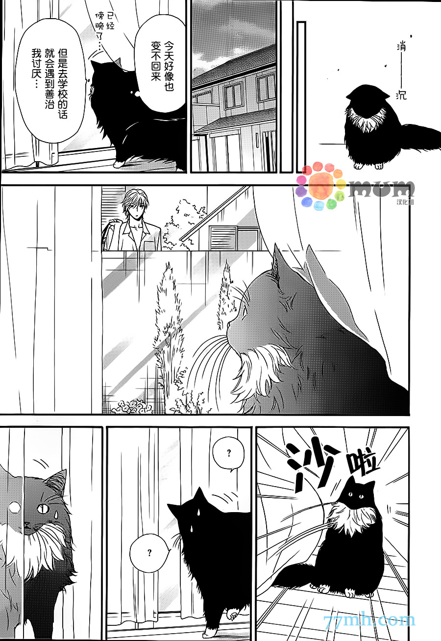 《猫咪猫咪亲爱的》漫画最新章节 第12话 免费下拉式在线观看章节第【2】张图片