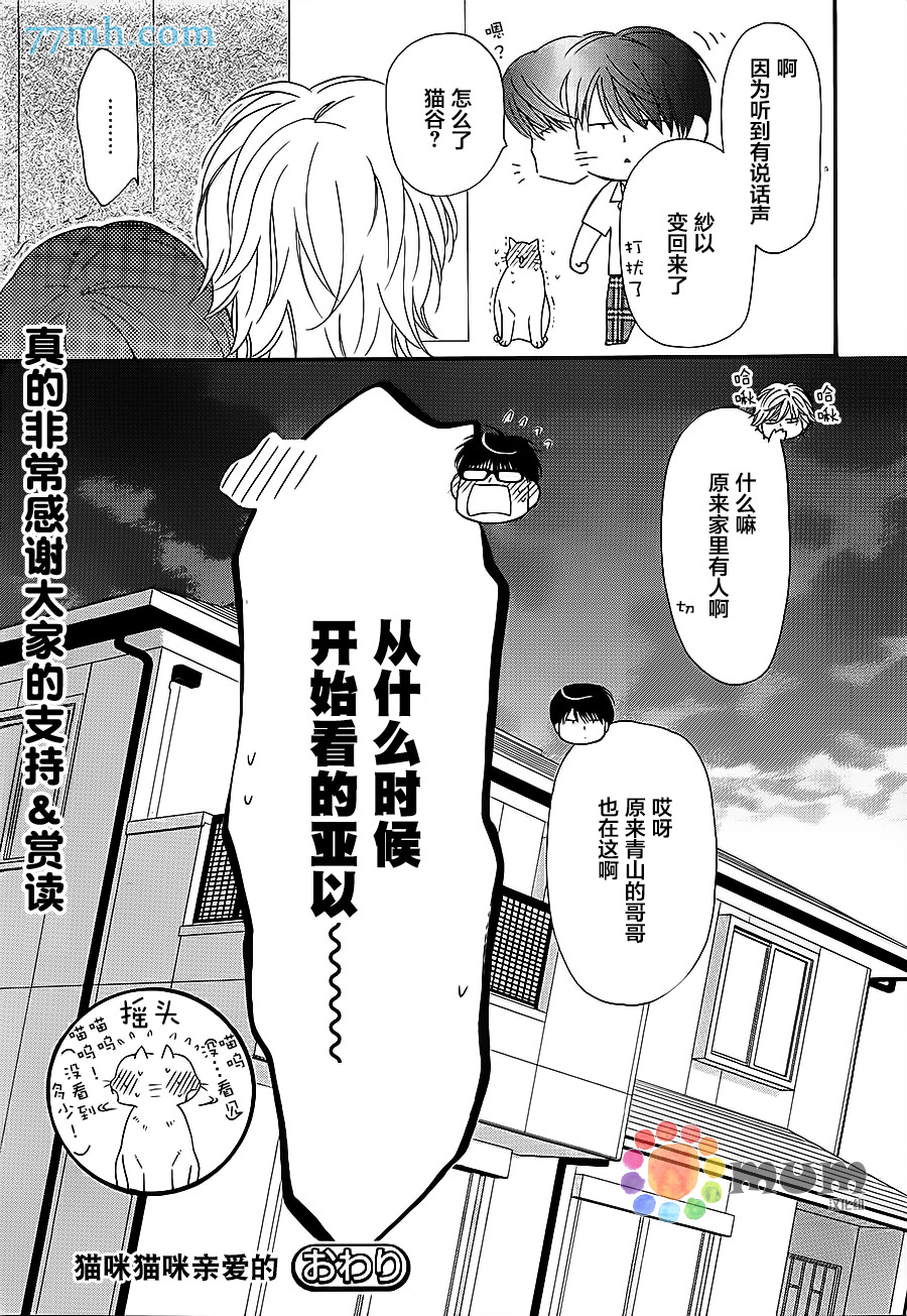 《猫咪猫咪亲爱的》漫画最新章节 第12话 免费下拉式在线观看章节第【34】张图片