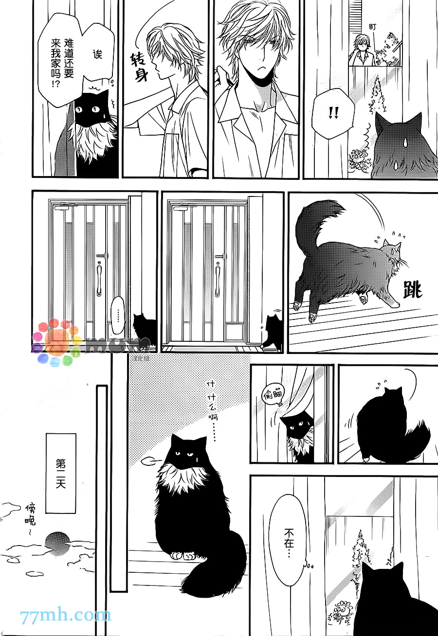 《猫咪猫咪亲爱的》漫画最新章节 第12话 免费下拉式在线观看章节第【3】张图片