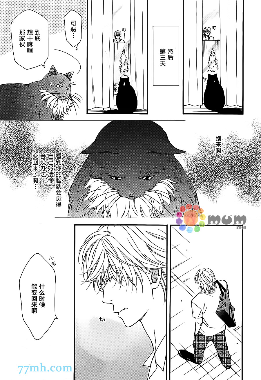 《猫咪猫咪亲爱的》漫画最新章节 第12话 免费下拉式在线观看章节第【4】张图片