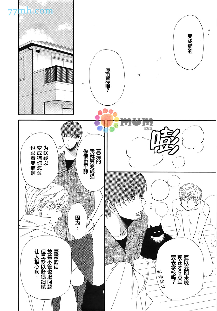 《猫咪猫咪亲爱的》漫画最新章节 第11话 免费下拉式在线观看章节第【15】张图片