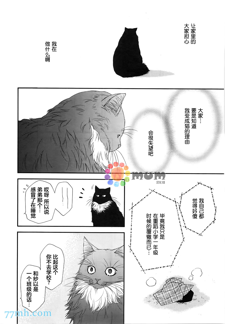 《猫咪猫咪亲爱的》漫画最新章节 第11话 免费下拉式在线观看章节第【17】张图片