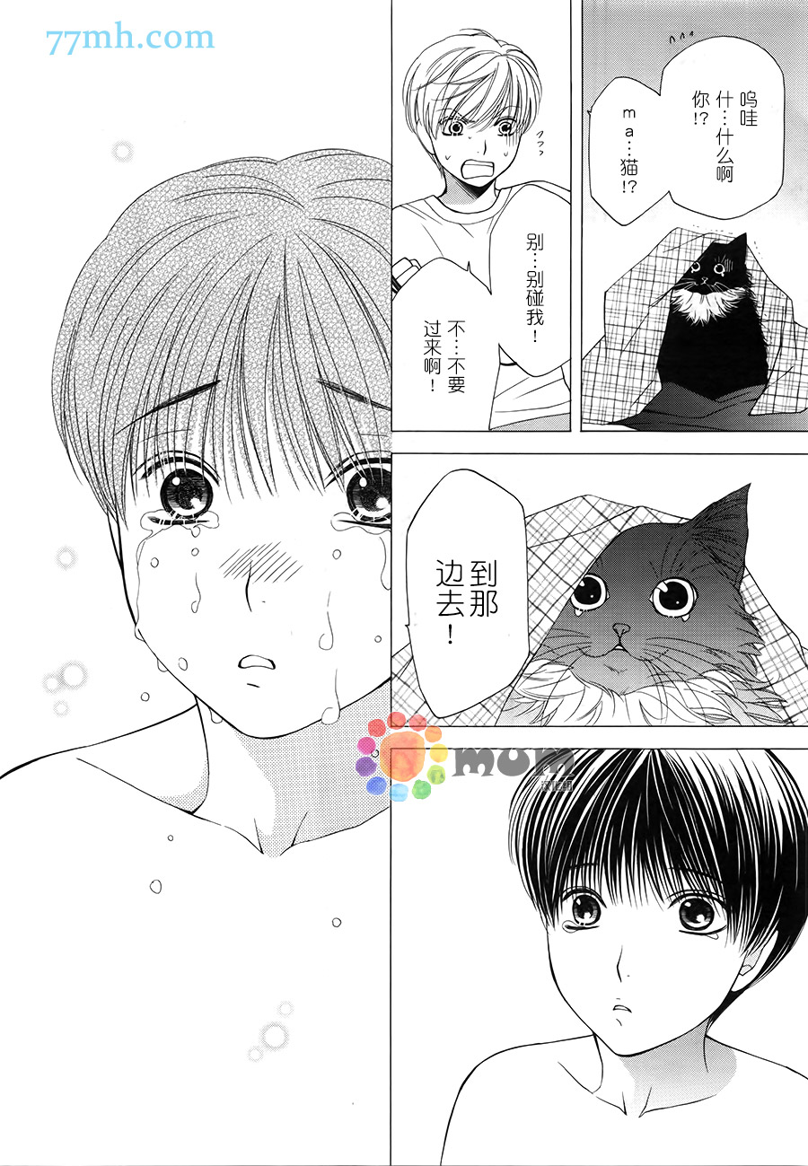 《猫咪猫咪亲爱的》漫画最新章节 第11话 免费下拉式在线观看章节第【25】张图片