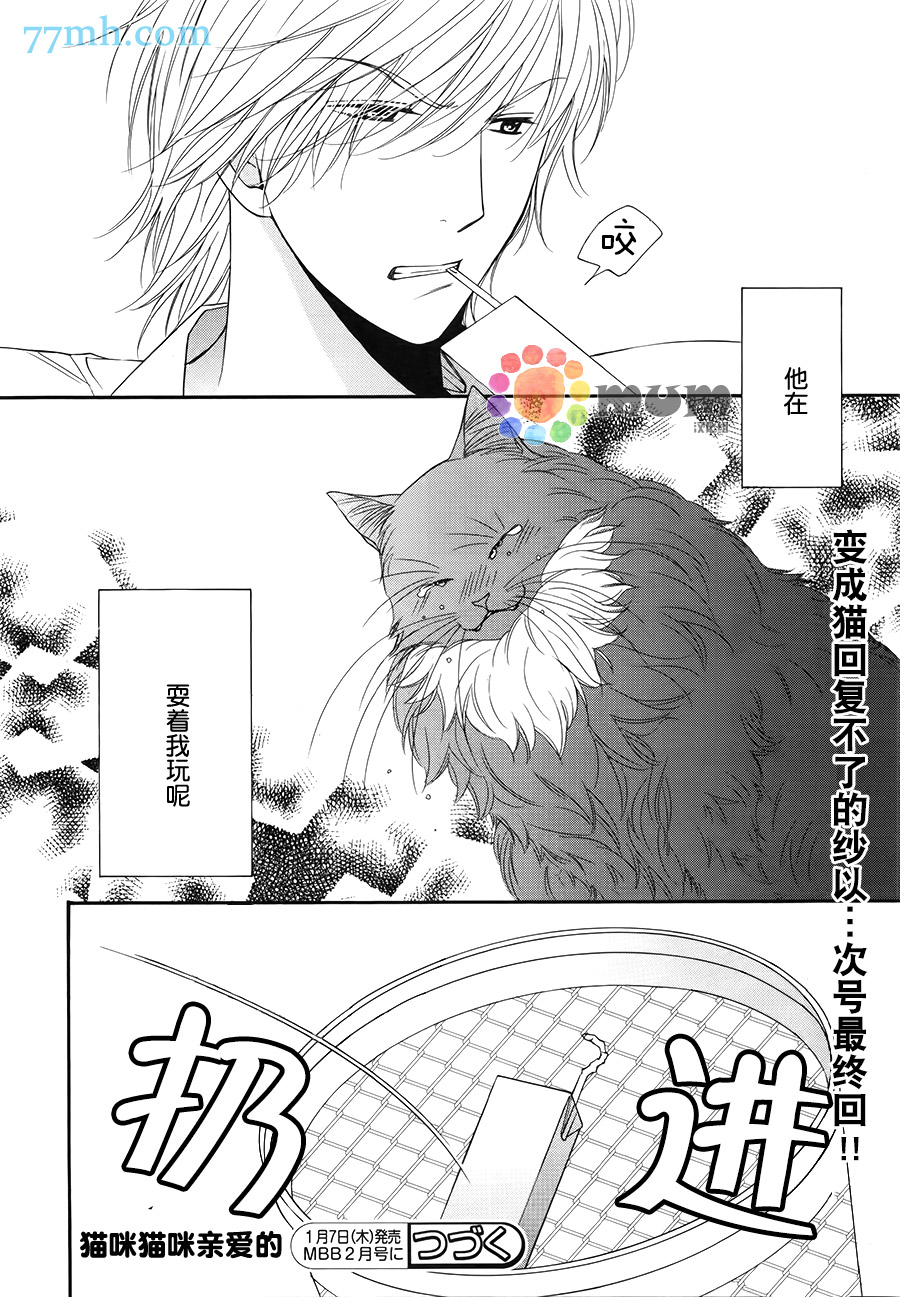 《猫咪猫咪亲爱的》漫画最新章节 第11话 免费下拉式在线观看章节第【29】张图片