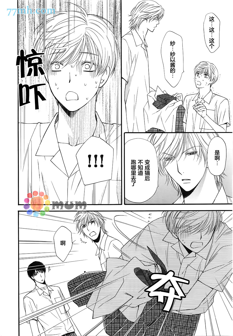 《猫咪猫咪亲爱的》漫画最新章节 第11话 免费下拉式在线观看章节第【5】张图片