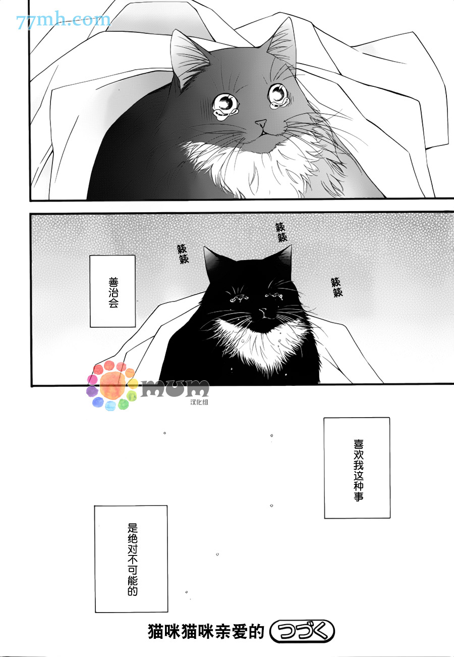 《猫咪猫咪亲爱的》漫画最新章节 第10话 免费下拉式在线观看章节第【32】张图片