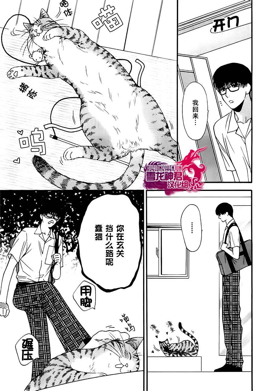 《猫咪猫咪亲爱的》漫画最新章节 第3话 免费下拉式在线观看章节第【10】张图片