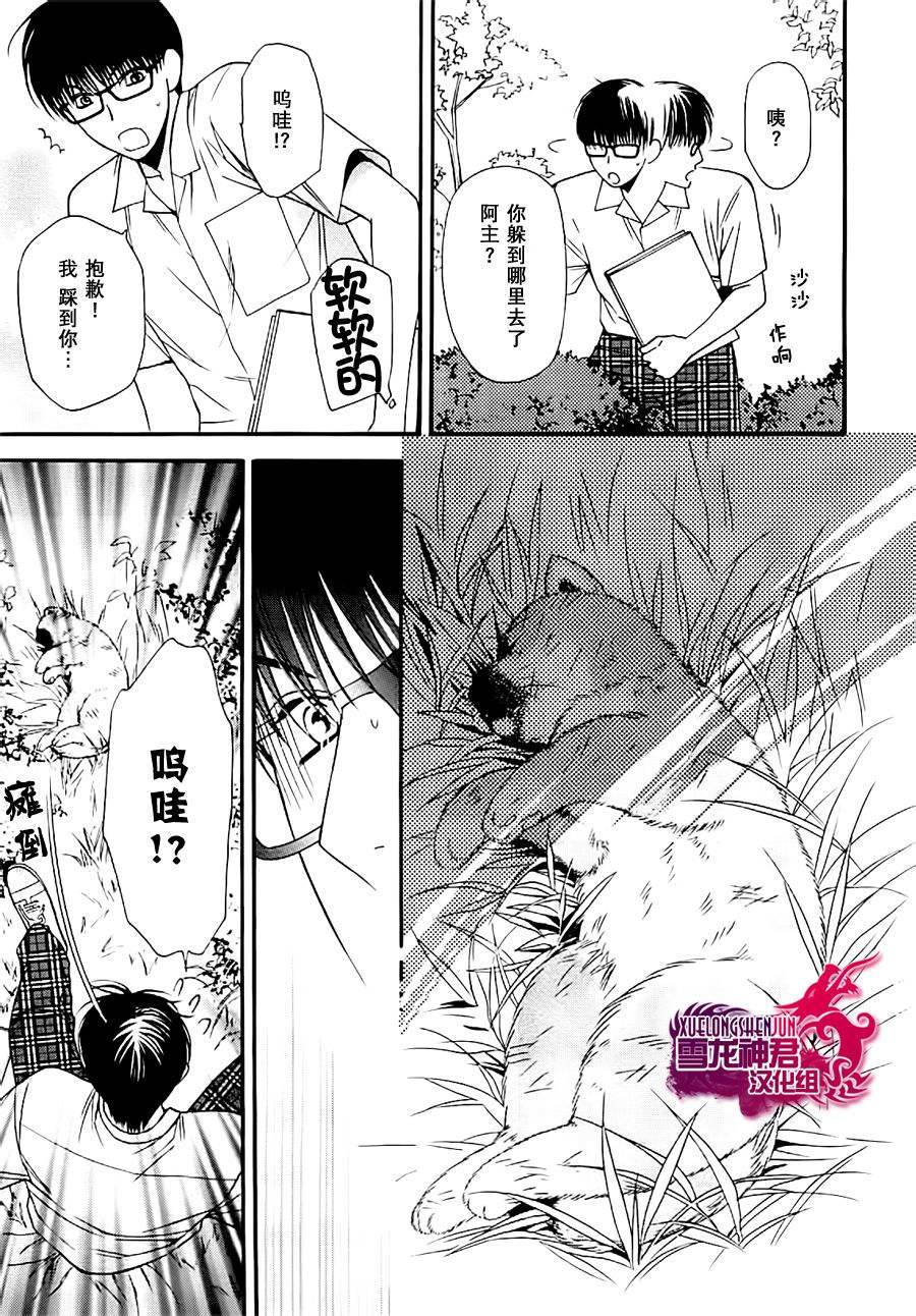 《猫咪猫咪亲爱的》漫画最新章节 第3话 免费下拉式在线观看章节第【17】张图片