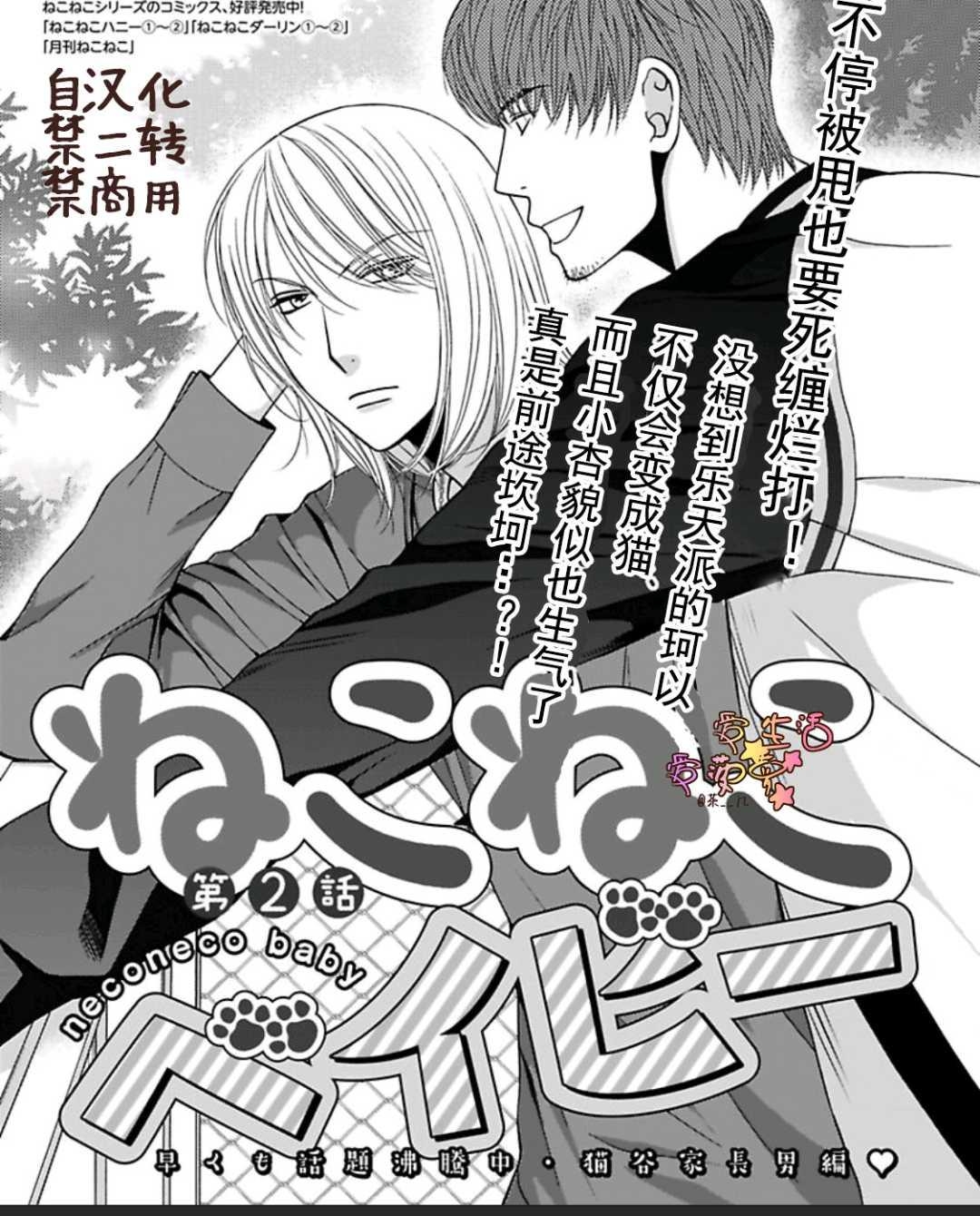 《猫咪宝贝》漫画最新章节 第1卷 免费下拉式在线观看章节第【33】张图片