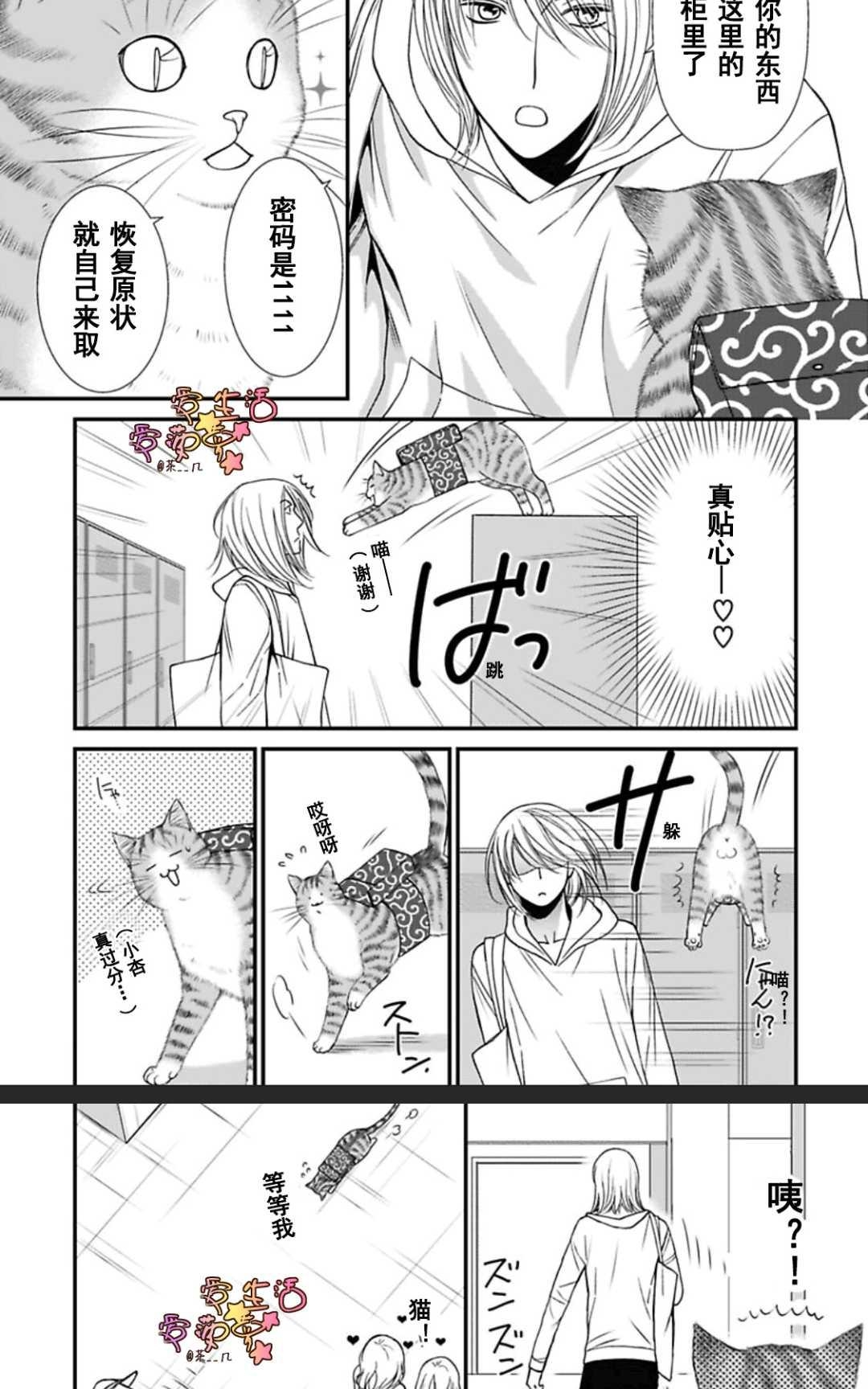 《猫咪宝贝》漫画最新章节 第1卷 免费下拉式在线观看章节第【35】张图片