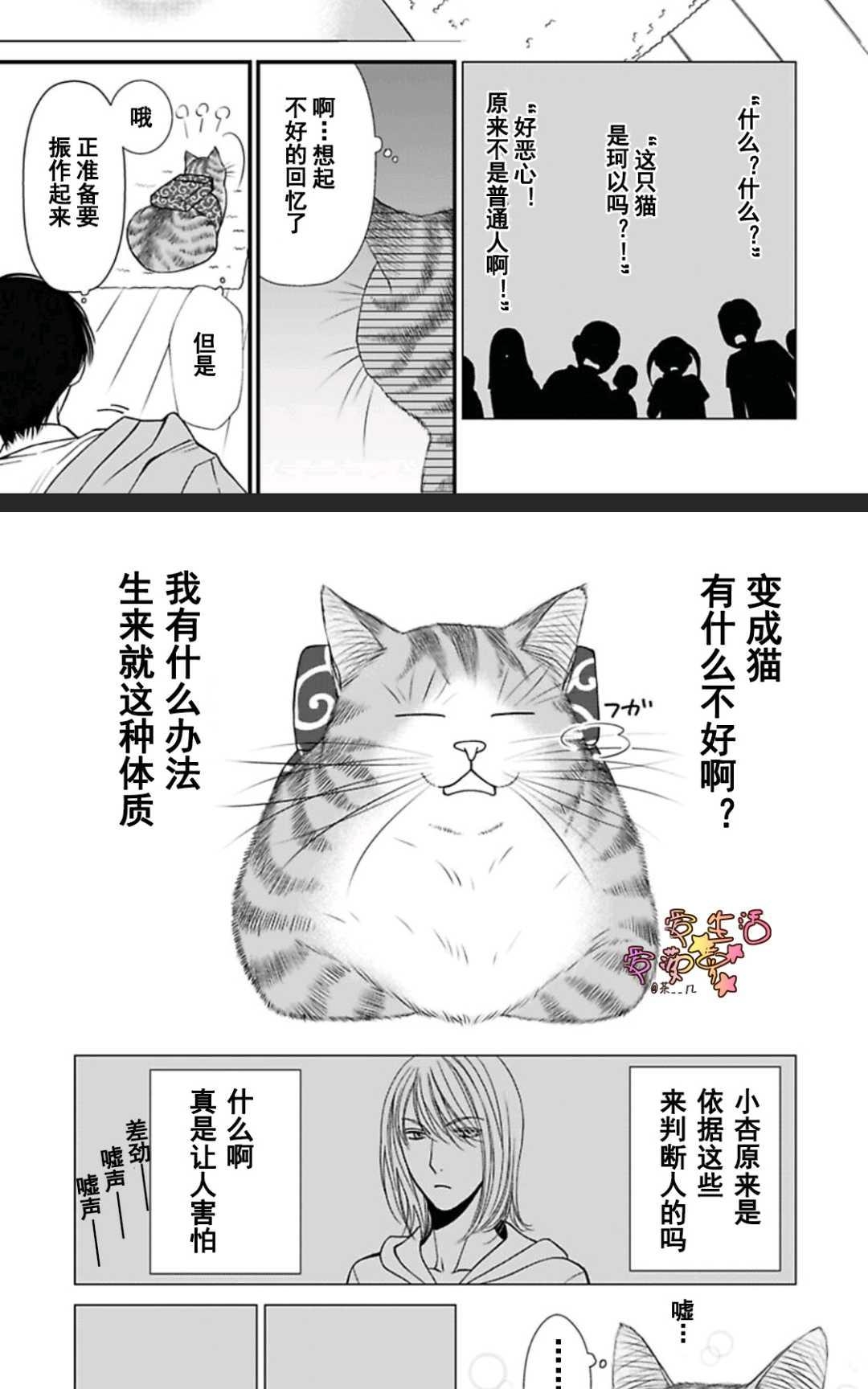 《猫咪宝贝》漫画最新章节 第1卷 免费下拉式在线观看章节第【39】张图片