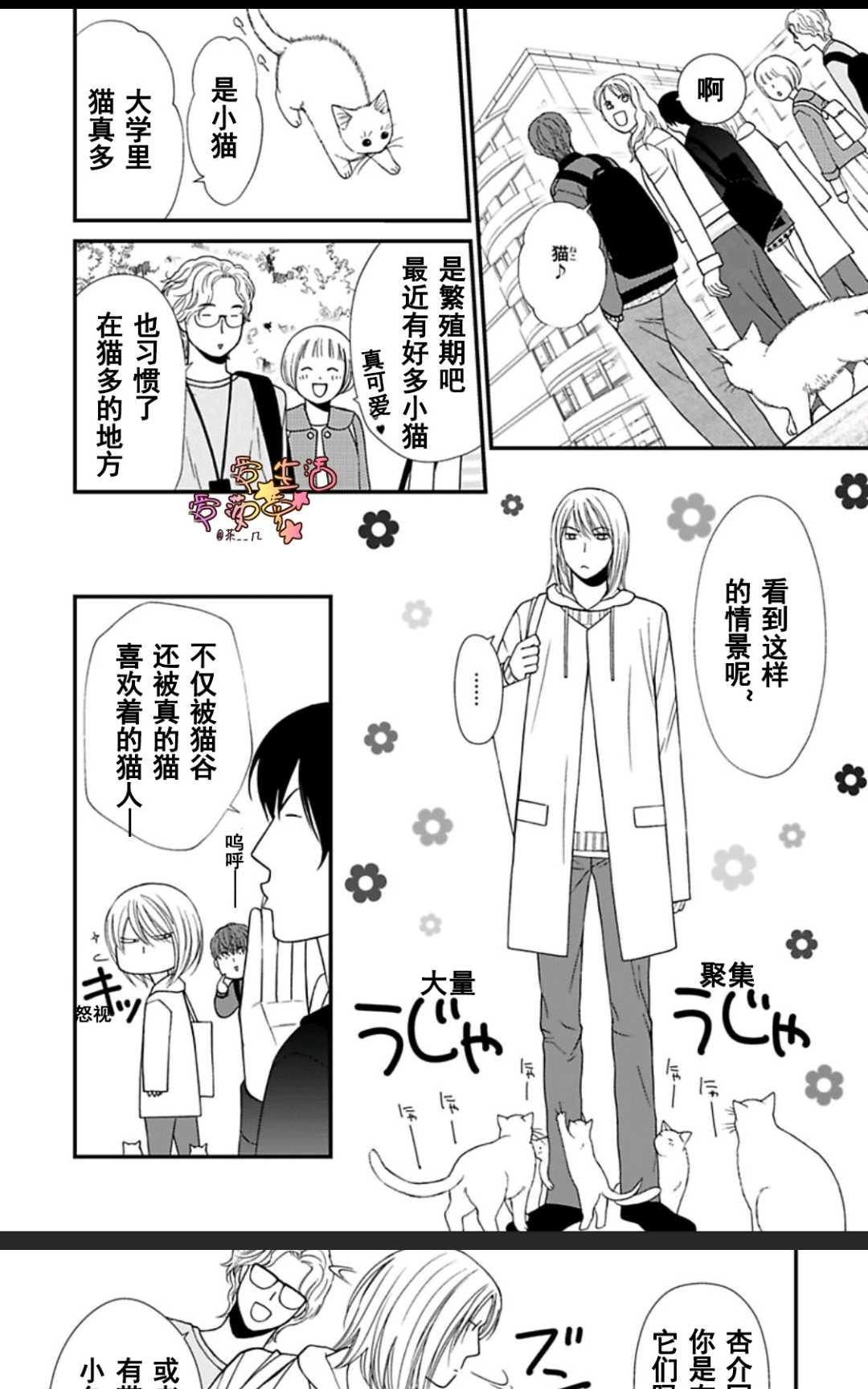 《猫咪宝贝》漫画最新章节 第1卷 免费下拉式在线观看章节第【45】张图片