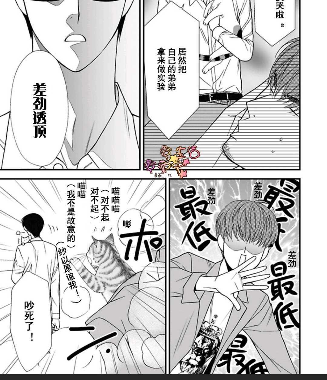 《猫咪宝贝》漫画最新章节 第1卷 免费下拉式在线观看章节第【77】张图片