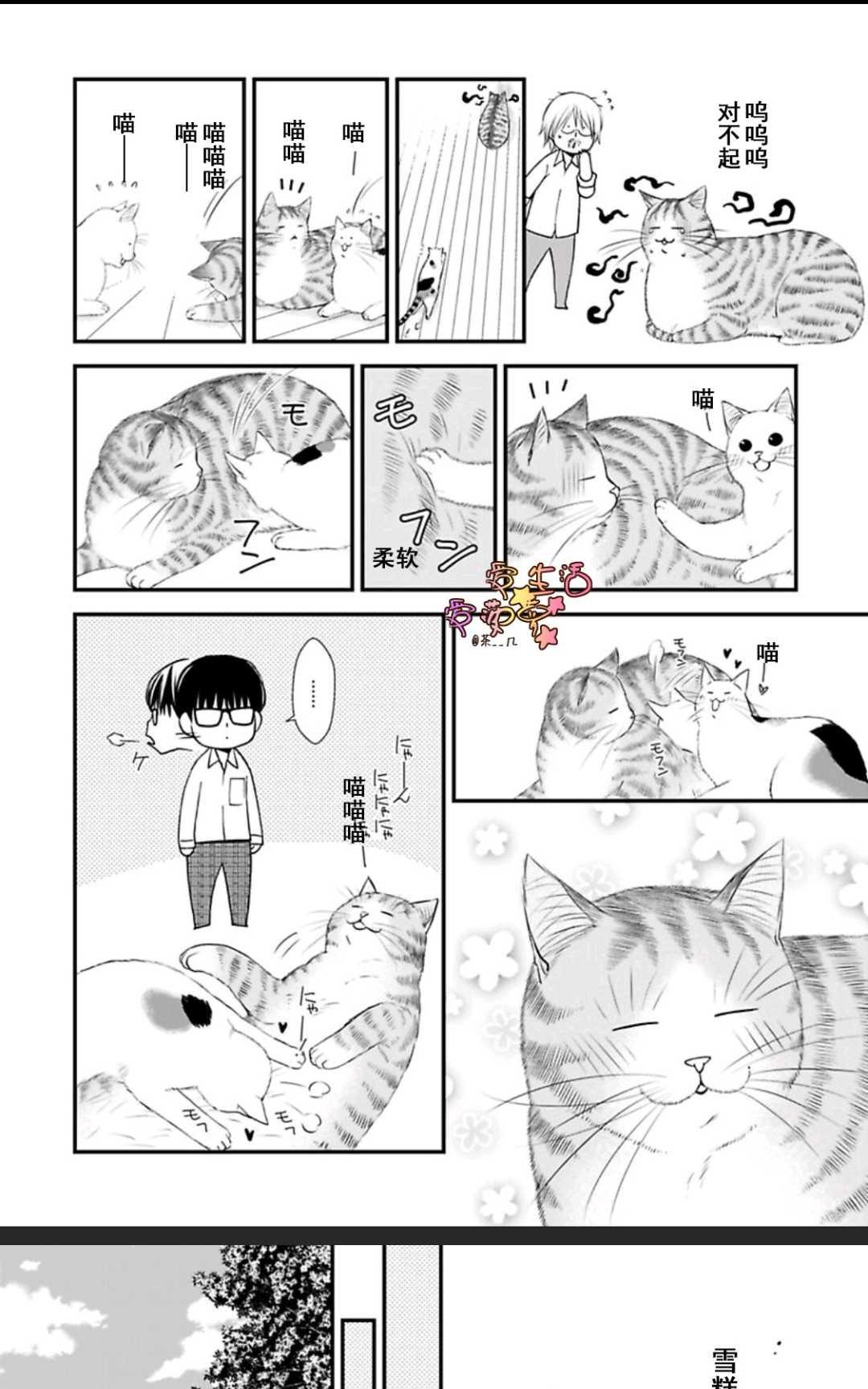 《猫咪宝贝》漫画最新章节 第1卷 免费下拉式在线观看章节第【78】张图片