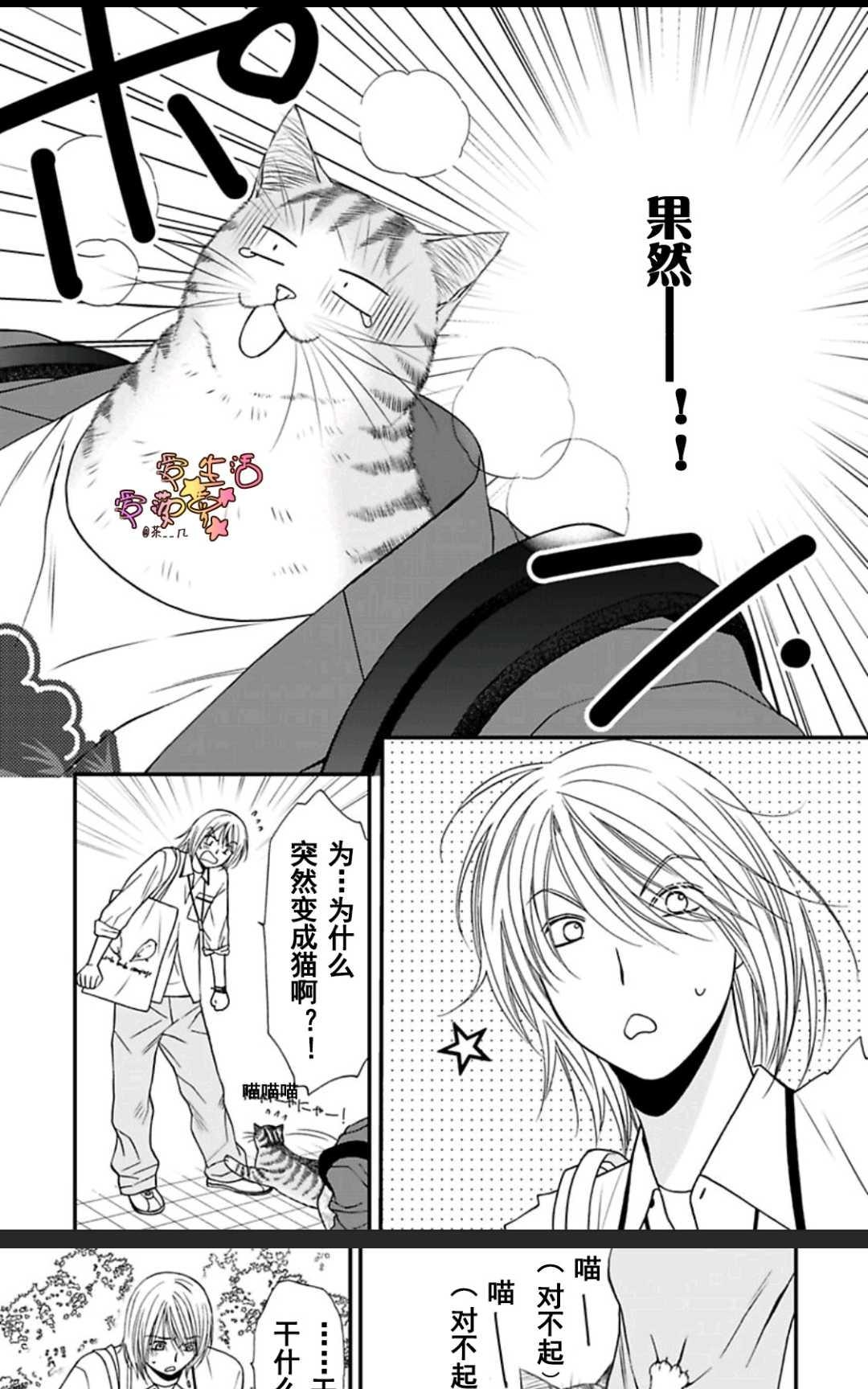 《猫咪宝贝》漫画最新章节 第1卷 免费下拉式在线观看章节第【111】张图片