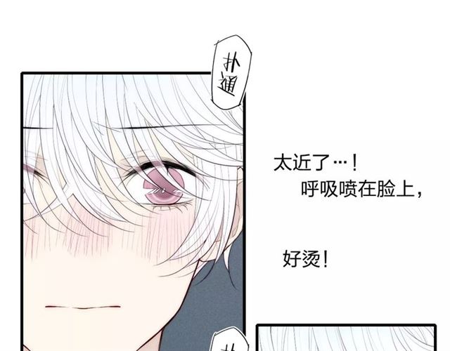 【给我哭[腐漫]】漫画-（第85话 今天开始追你（66P））章节漫画下拉式图片-第14张图片