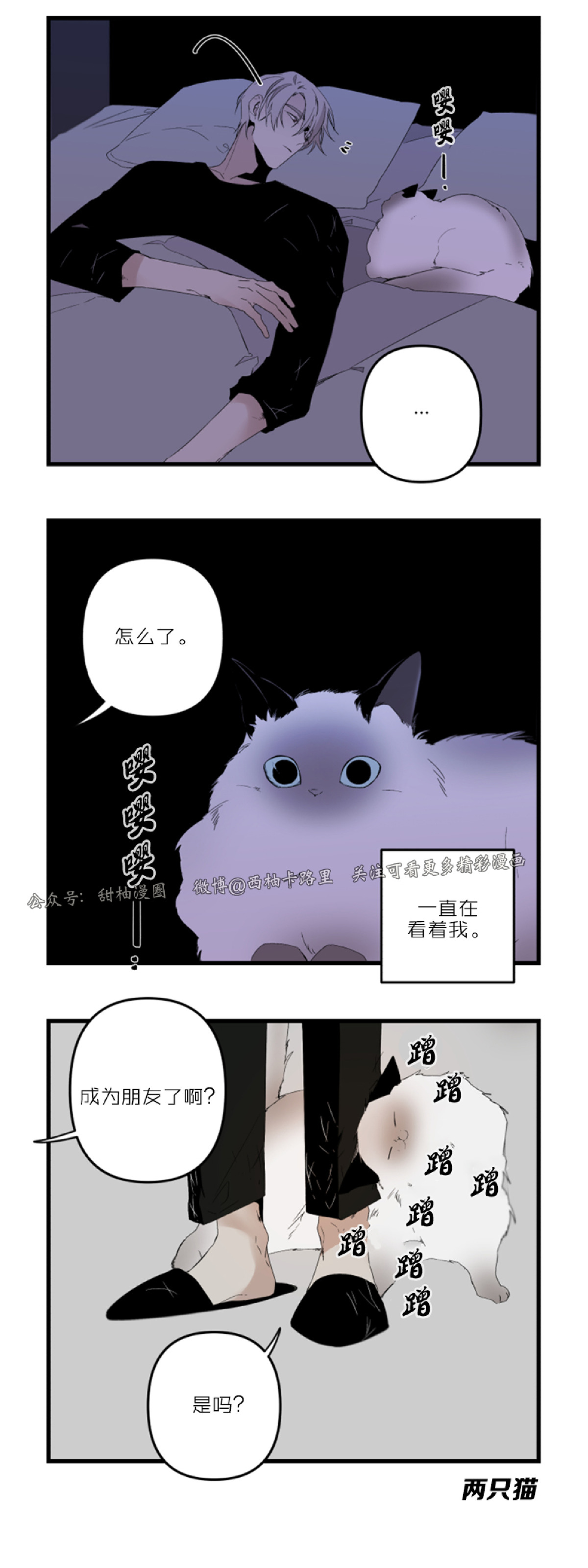 《Aporia/臣服关系/难以解决的问题》漫画最新章节特别篇免费下拉式在线观看章节第【22】张图片