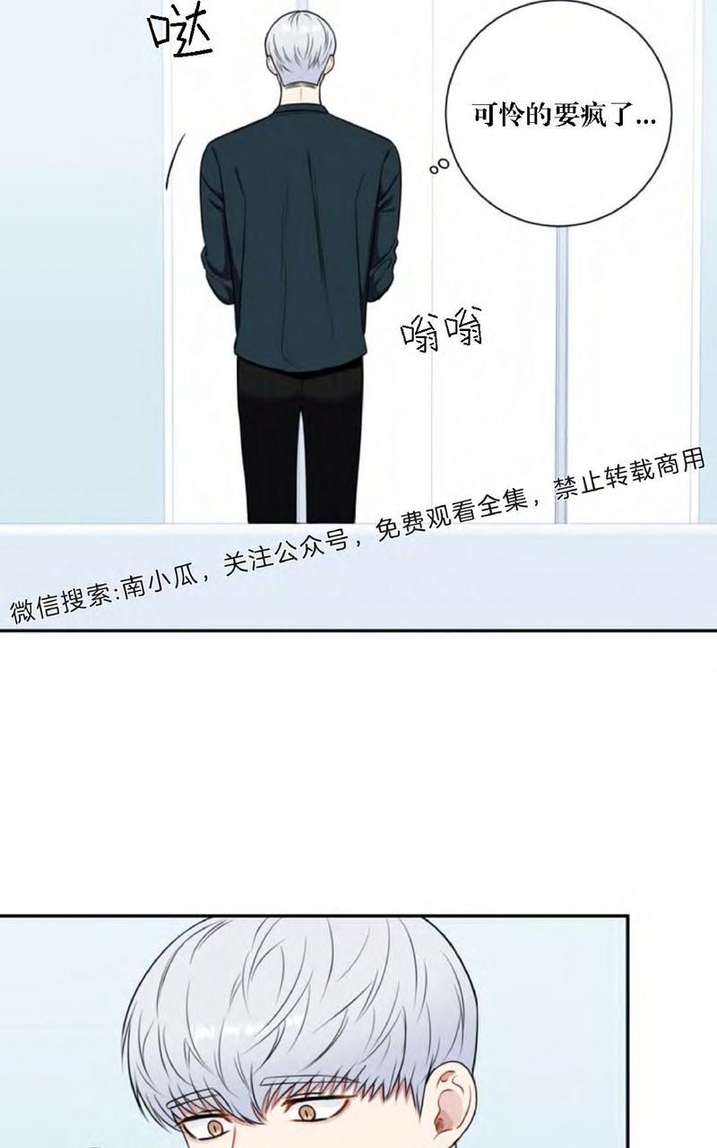 《冬日后的樱花 第四季》漫画最新章节 第3话 免费下拉式在线观看章节第【45】张图片