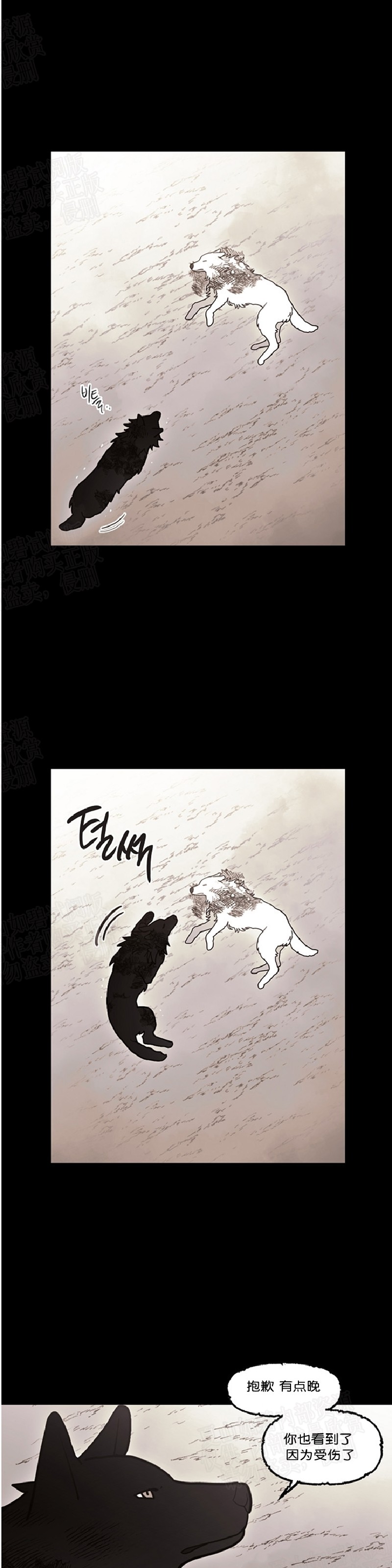 《太阳之血/Sun Blood》漫画最新章节第39话免费下拉式在线观看章节第【22】张图片