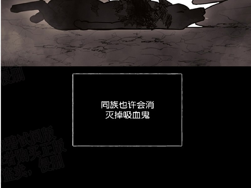 《太阳之血/Sun Blood》漫画最新章节第39话免费下拉式在线观看章节第【9】张图片