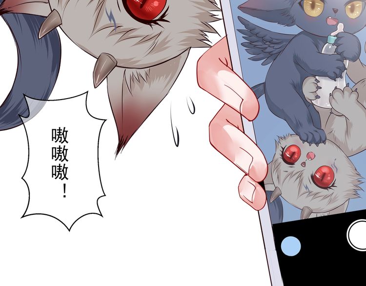 《魔尊要抱抱》漫画最新章节停更通知（内含福利！！）（20P）免费下拉式在线观看章节第【13】张图片