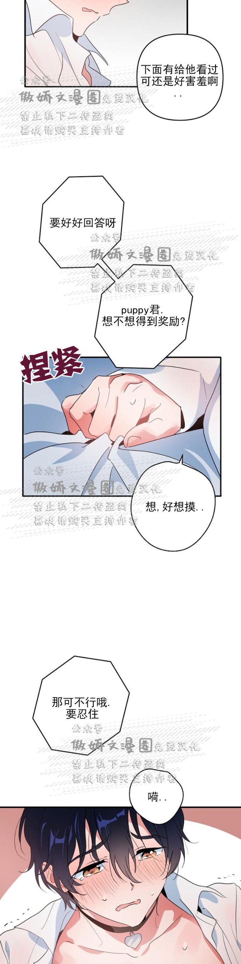 《puppy love/不要抛弃puppy/一见倾心》漫画最新章节第3话免费下拉式在线观看章节第【25】张图片