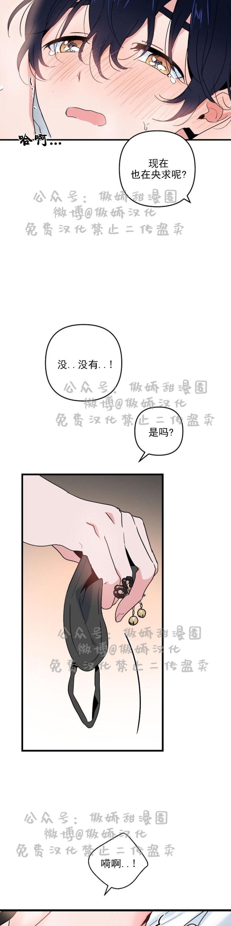 《puppy love/不要抛弃puppy/一见倾心》漫画最新章节第11话免费下拉式在线观看章节第【12】张图片