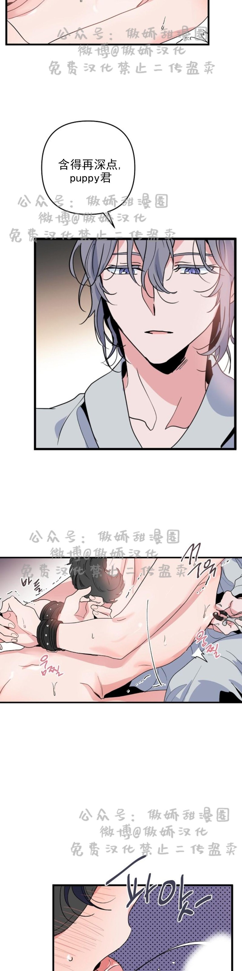 《puppy love/不要抛弃puppy/一见倾心》漫画最新章节第11话免费下拉式在线观看章节第【25】张图片