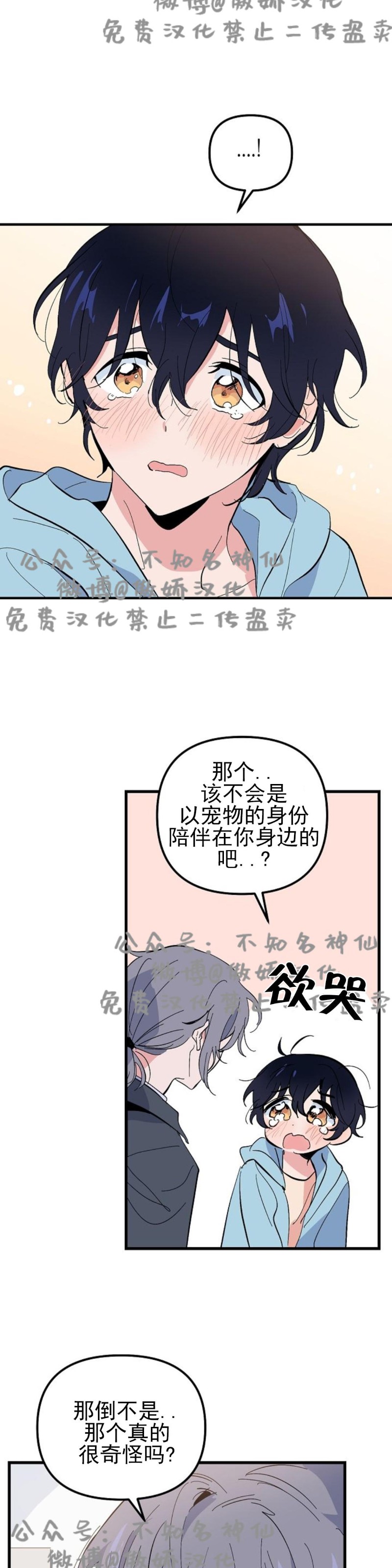 《puppy love/不要抛弃puppy/一见倾心》漫画最新章节第17话免费下拉式在线观看章节第【8】张图片