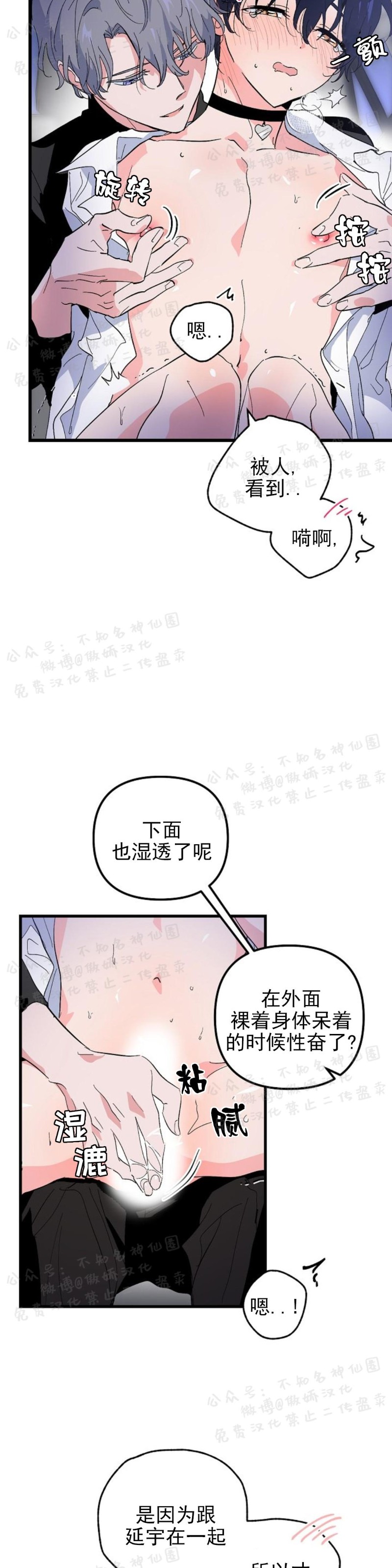 《puppy love/不要抛弃puppy/一见倾心》漫画最新章节第19话免费下拉式在线观看章节第【13】张图片