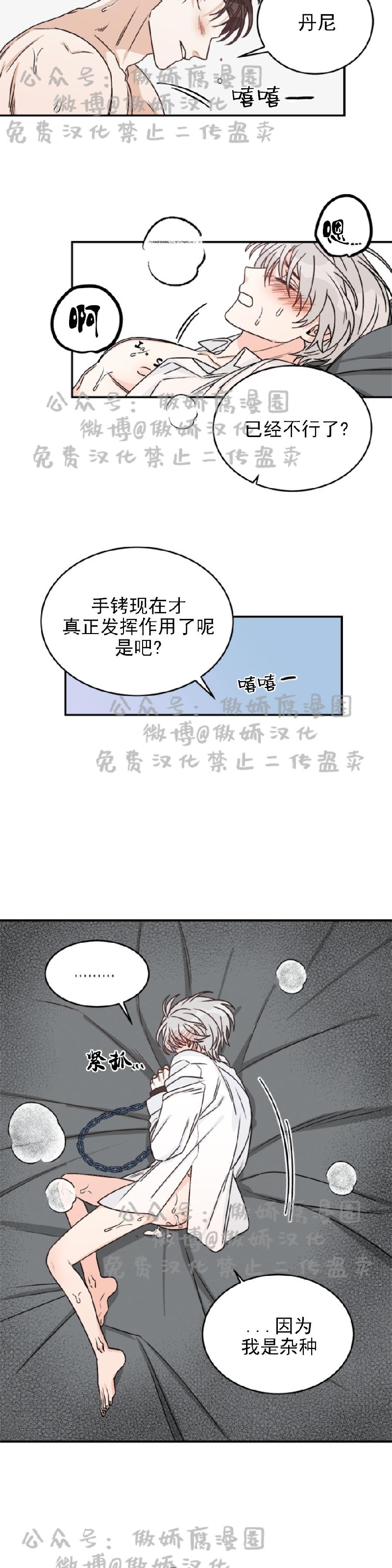 【逐龙/男神求婚后我跑了[耽美]】漫画-（第11話）章节漫画下拉式图片-第14张图片