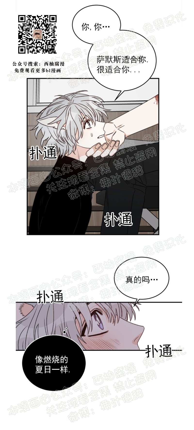 《逐龙/男神求婚后我跑了》漫画最新章节第17话免费下拉式在线观看章节第【14】张图片