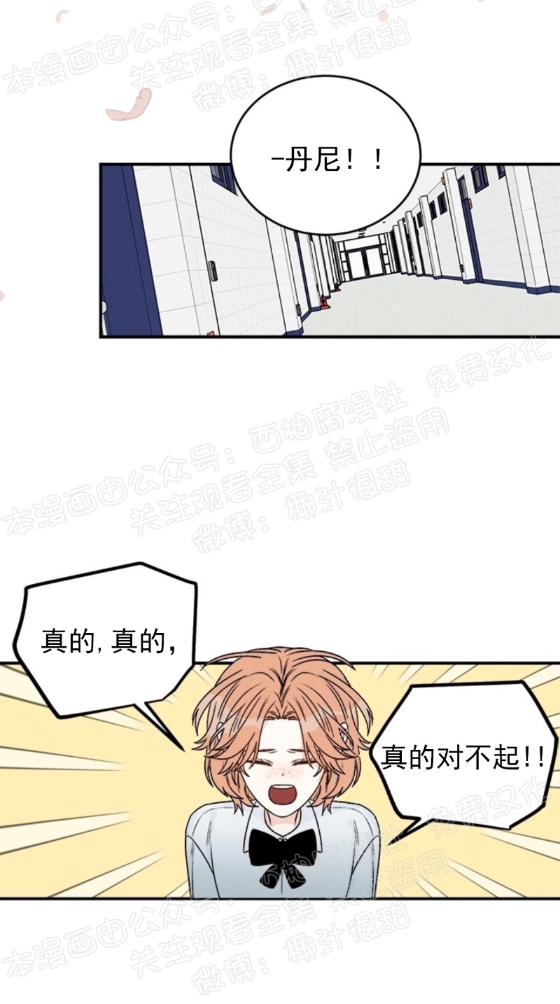 《逐龙/男神求婚后我跑了》漫画最新章节第18话免费下拉式在线观看章节第【5】张图片