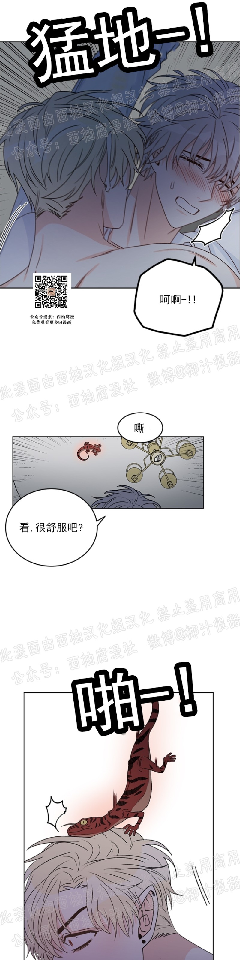 【逐龙/男神求婚后我跑了[腐漫]】漫画-（第23話）章节漫画下拉式图片-25.jpg